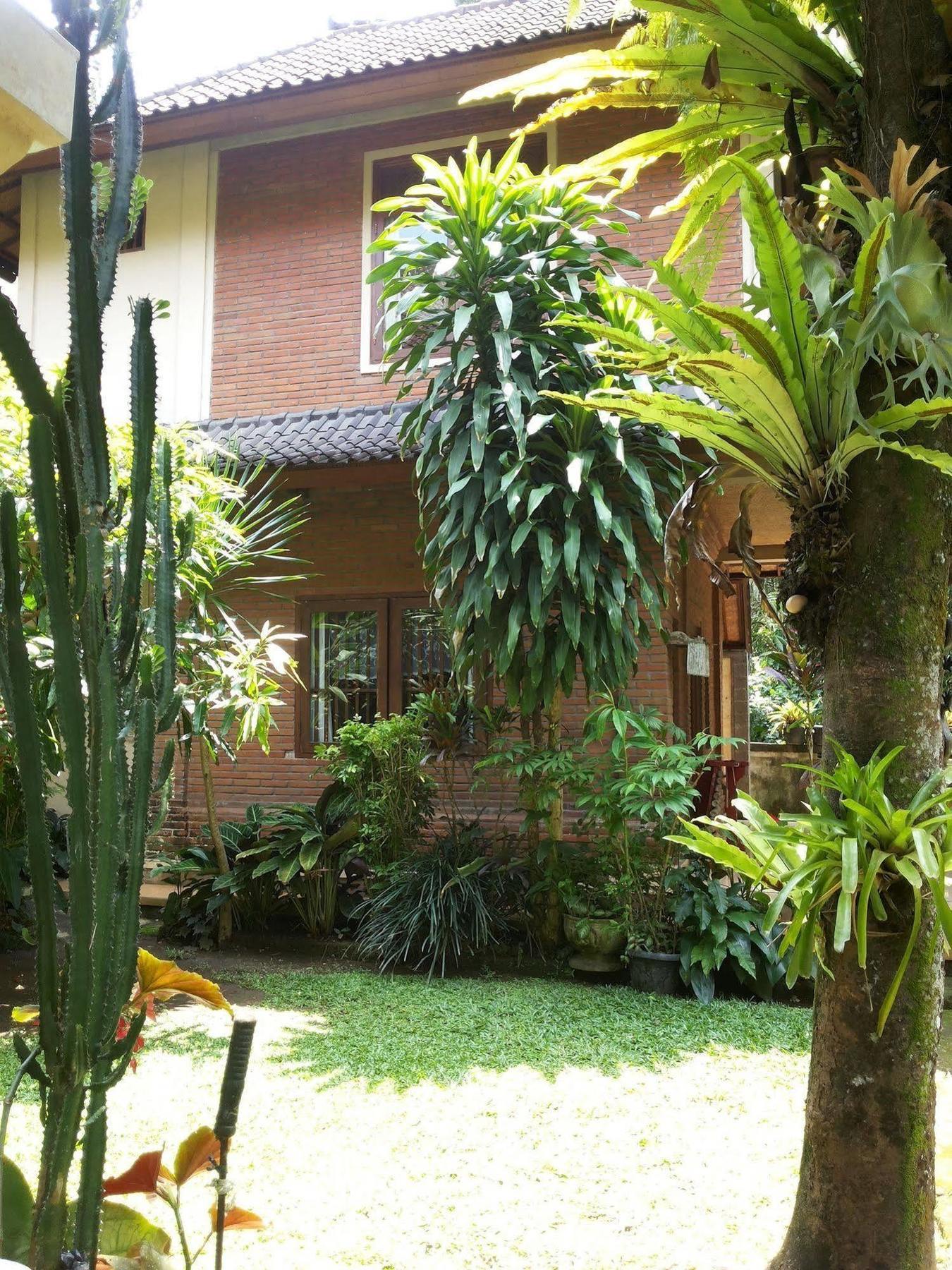 Ben'S Homestay Ubud Dış mekan fotoğraf