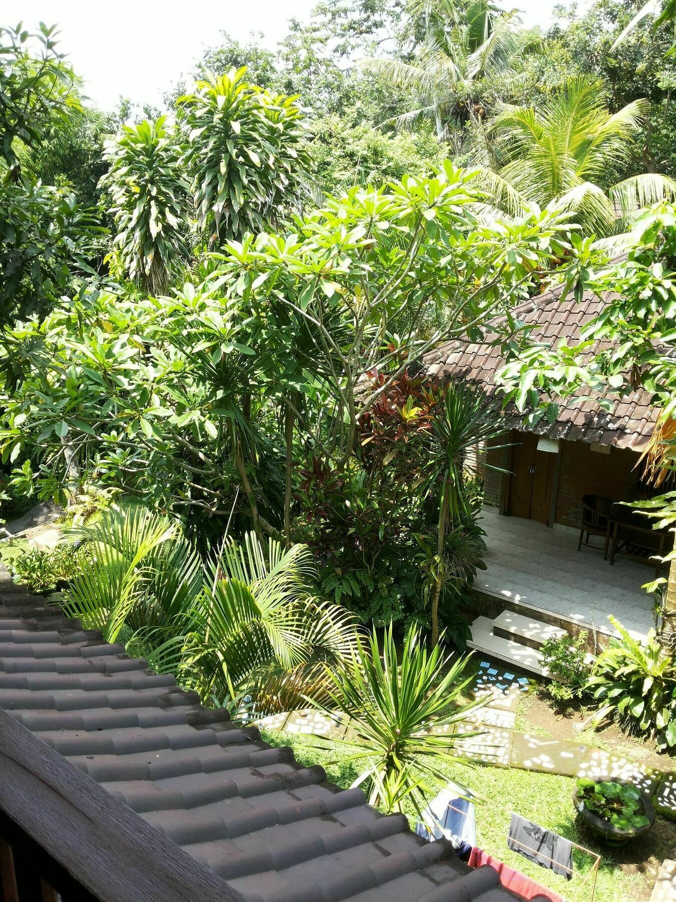 Ben'S Homestay Ubud Dış mekan fotoğraf